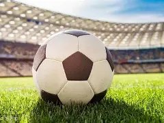 国足新任主,帅扬科维奇,或于,开云体育,开云体育官网,开云体育app,开云体育app下载