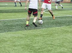 意大利,波黑,贝洛蒂与拉,开云体育,开云体育官网,开云体育app,开云体育app下载