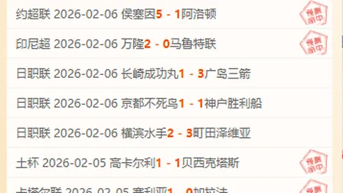 开云体育